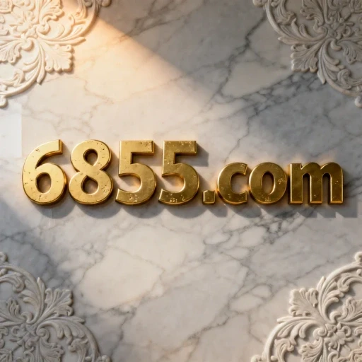 6855.com logo